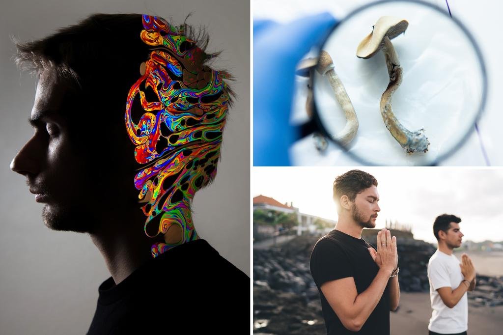 Biohacker’s 4 crucial steps to therapy with psychedelics — and a nondrug technique to try first Biohacker’s 4 crucial steps to therapy with psychedelics — and a nondrug technique to try first