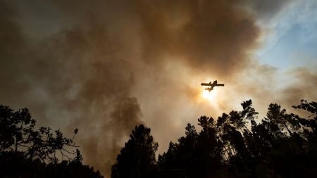 Portugal declares high-alert due to hot weather and fire risk