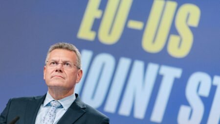 EU, US release trade statement setting 15% tariff on EU exports