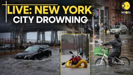 US Floods LIVE: UNSTOPPABLE FLOODS Drown New York & New Jersey, State Of Emergency Declared | WION