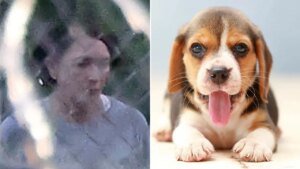 Ghislaine Maxwell blocked from puppy training program at Federal Prison Camp Bryan: report Ghislaine Maxwell blocked from puppy training program at Federal Prison Camp Bryan: report