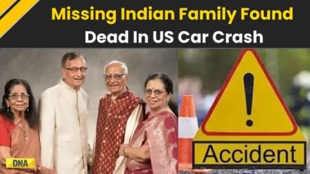 US News: Four Indians Went Missing En Route To US Temple, Later Found Dead In Car Crash