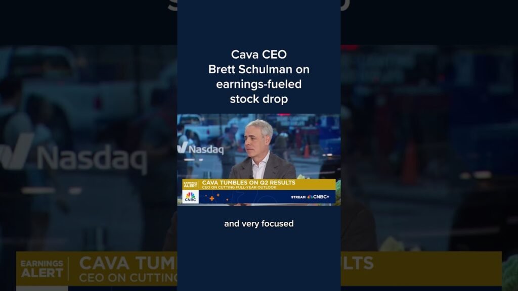 Cava CEO Brett Schulman on earnings-fueled stock drop