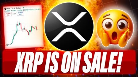 CRYPTO BLOODBATH & XRP IS ON SALE – PATRICK BET DAVID PREDICTS 00 XRP – BTC MAXI’S ARE DELUSIONAL