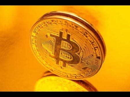 Crypto Investors Remain Bullish