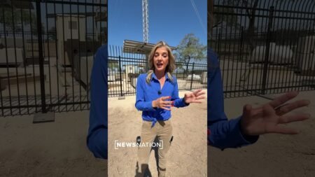 Border Patrol camera towers to help watch activity at border