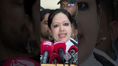 আমিও চাইলে গুন্ডা আনতে পারতাম: রুমিন ফারহানা | Rumin Farhana | Global TV News