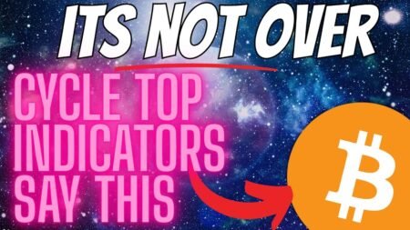 30 Reasons Bitcoin Has NOT Topped Out!