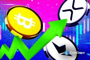 Why Is The Crypto Market Rallying Today?