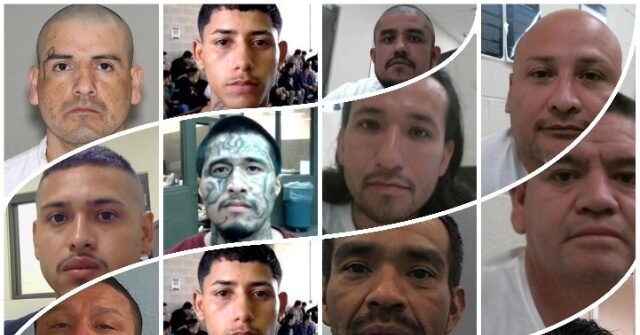 ICE HOUSTON: 350 Criminal Alien Gang Members with 1,400 Deportations, 1,700 Crimes ICE HOUSTON: 350 Criminal Alien Gang Members with 1,400 Deportations, 1,700 Crimes