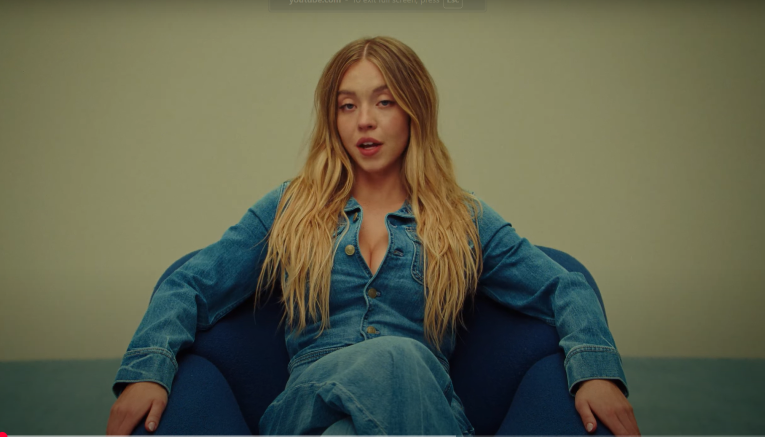 Sydney Sweeney Jeans Ad Is An Admission DEI Was A Mistake
