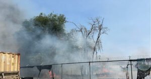 DHS: Arsonist Attacked Washington ICE Field Office DHS: Arsonist Attacked Washington ICE Field Office