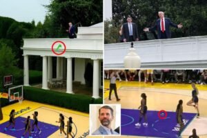 Donald Trump Jr. mocked for posting photoshopped image of president tossing sex toy onto WNBA court: Comedy airball Donald Trump Jr. mocked for posting photoshopped image of president tossing sex toy onto WNBA court: Comedy airball