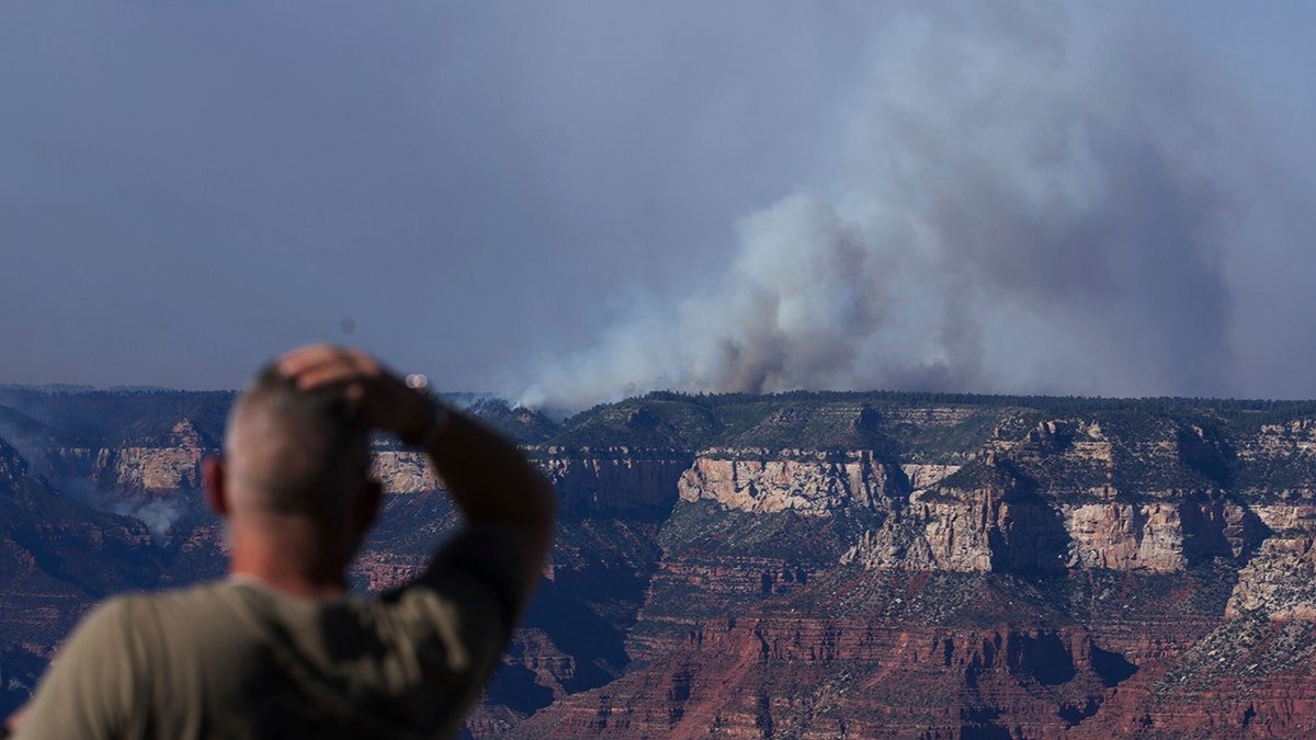 Man reacts to Grand Canyon fire