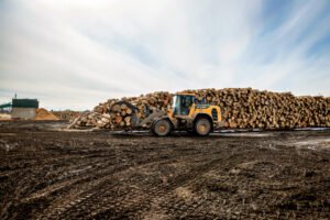 Trump Admin Imposes Higher Tariffs on Canadian Lumber Trump Admin Imposes Higher Tariffs on Canadian Lumber