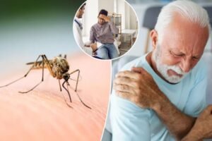 What is the chikungunya virus? Everything you need to know about the mosquito-borne illness that can cause pain that lasts for years What is the chikungunya virus? Everything you need to know about the mosquito-borne illness that can cause pain that lasts for years
