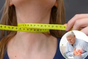 The size of your neck can predict your risk of heart disease and diabetes — how many inches is too big The size of your neck can predict your risk of heart disease and diabetes — how many inches is too big