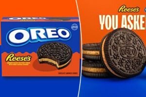Oreo and Reese’s thrill fans with tasty, historic announcement — ending years of pleading for a collab