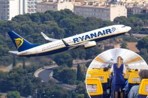 Flight attendant hits ceiling as terrifying turbulence during descent injures cabin crew members