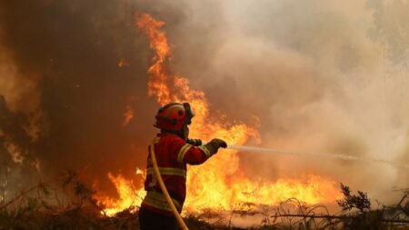 Do immigrants receive more than firefighters in Portugal?