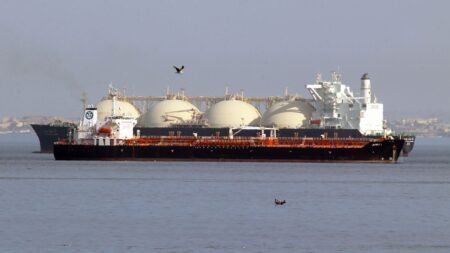 European imports of Russian shipped gas send €8.10bn to Moscow’s coffers – report