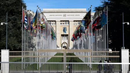 Scandinavians trust global organisations more than rest of Europe