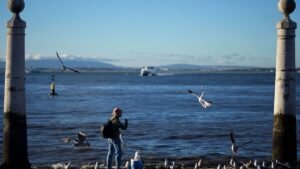 More than half of EU’s waters in poor ecological state – EEA report More than half of EU’s waters in poor ecological state – EEA report