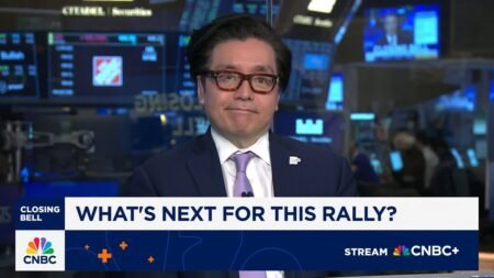 Tom Lee: Nvidia’s the most important company in the biggest structural change in the world economy Tom Lee: Nvidia’s the most important company in the biggest structural change in the world economy