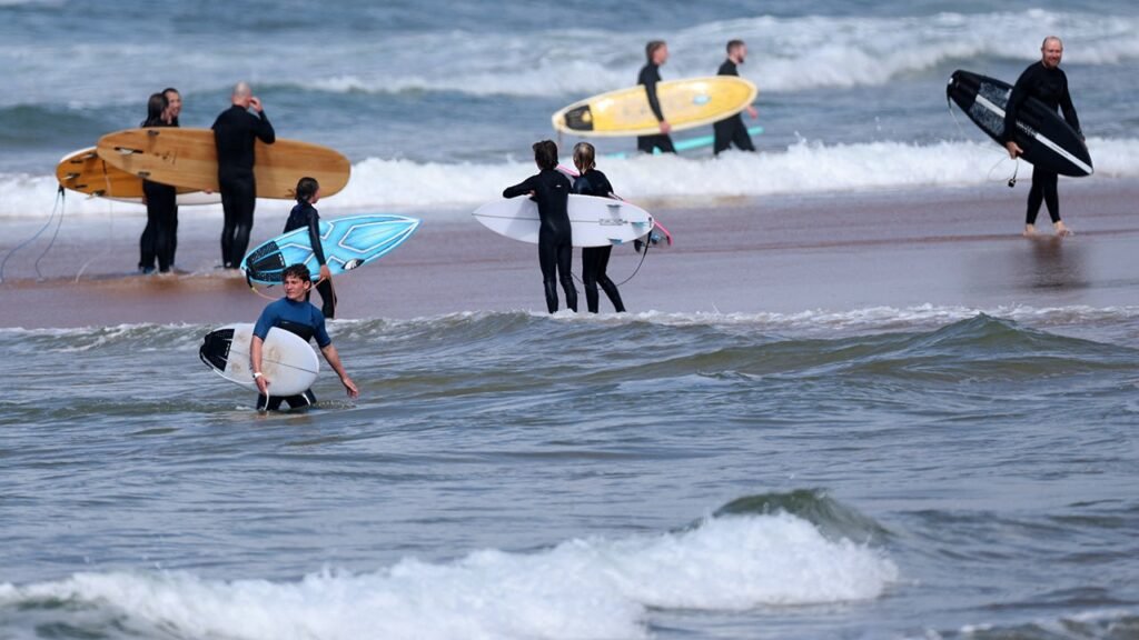‘Large shark’ kills man at Australian beach, with witness describing hearing screams of ‘don’t bite me!’ ‘Large shark’ kills man at Australian beach, with witness describing hearing screams of ‘don’t bite me!’
