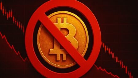 Bitcoin Drops After United States Says NO to More BTC