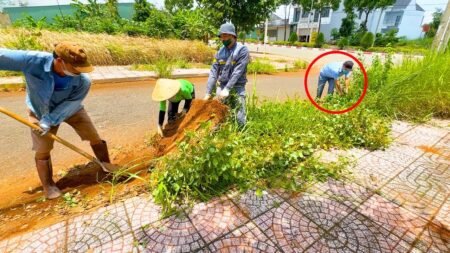 Government officials came to help us clean up the sidewalk that had been abandoned for 3 years