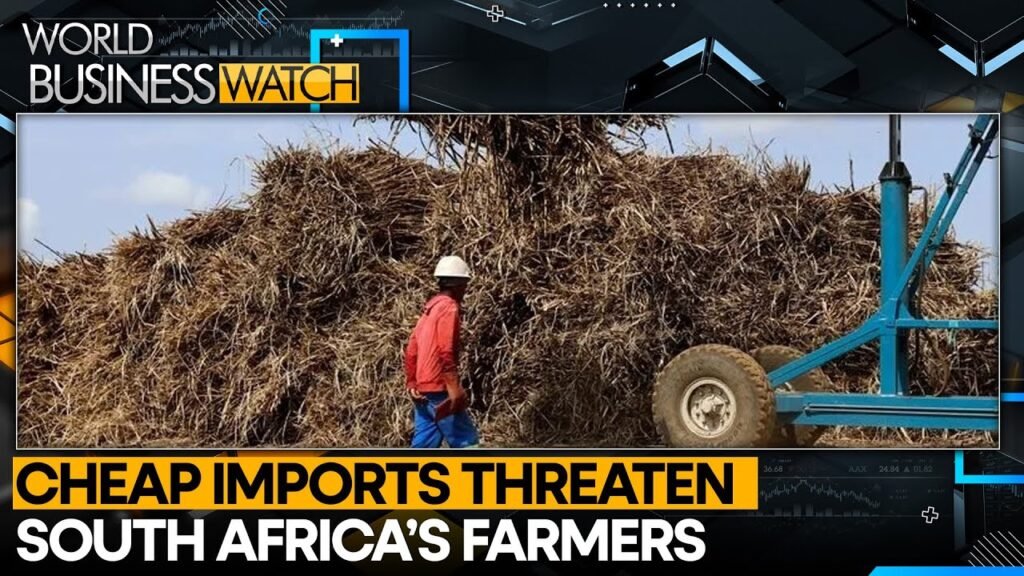 South Africa’s .4 Billion Sugar Sector at Tariff Risk | World Business Watch | WION South Africa’s .4 Billion Sugar Sector at Tariff Risk | World Business Watch | WION