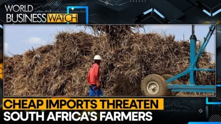 South Africa’s .4 Billion Sugar Sector at Tariff Risk | World Business Watch | WION South Africa’s .4 Billion Sugar Sector at Tariff Risk | World Business Watch | WION