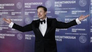 Tesla CEO Musk buys B stock amid push for major pay package