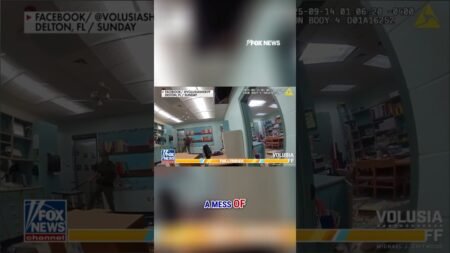 WATCH: Police respond with guns drawn after boys DESTROY school library #shorts #us #florida #school WATCH: Police respond with guns drawn after boys DESTROY school library #shorts #us #florida #school