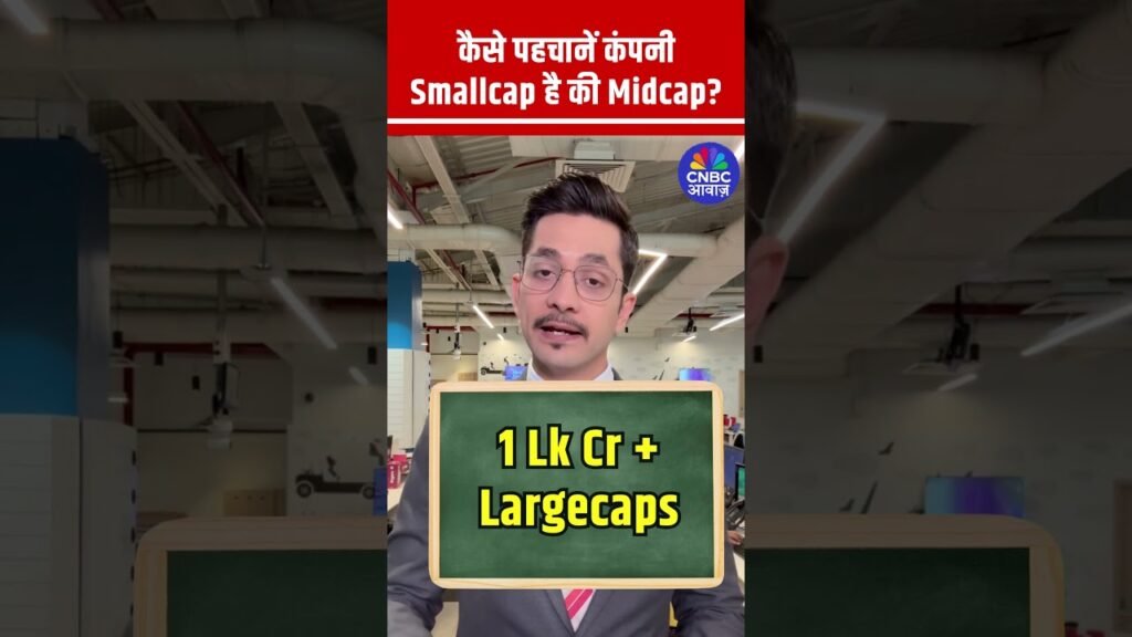 Difference Between Smallcap and Midcap stocks ? Explained in Hindi