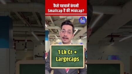 Difference Between Smallcap and Midcap stocks ? Explained in Hindi