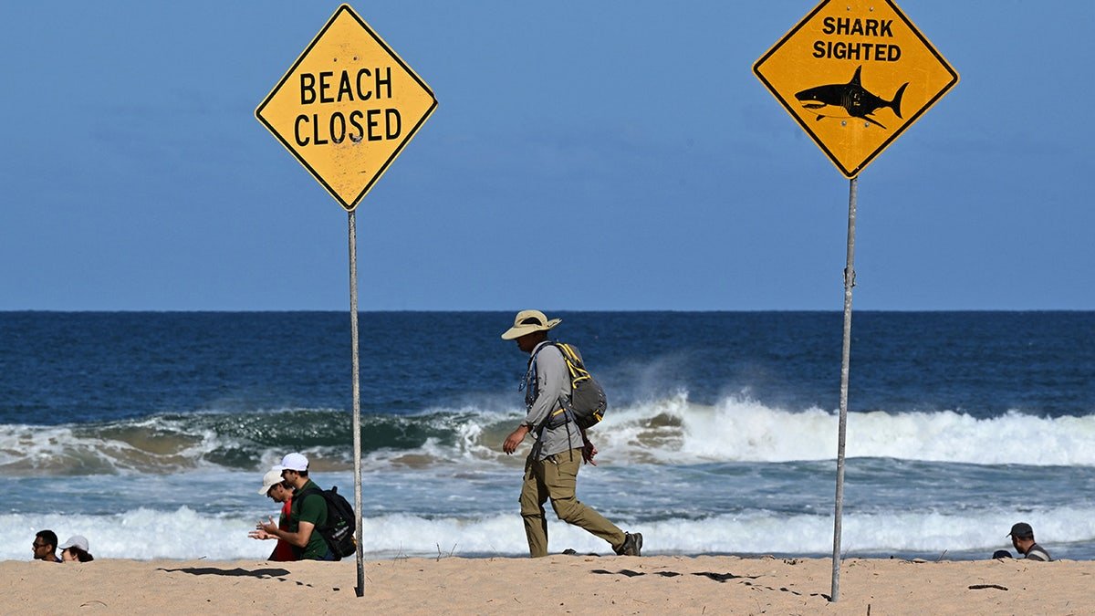 Shark attack closes beaches in Sydney, Australia