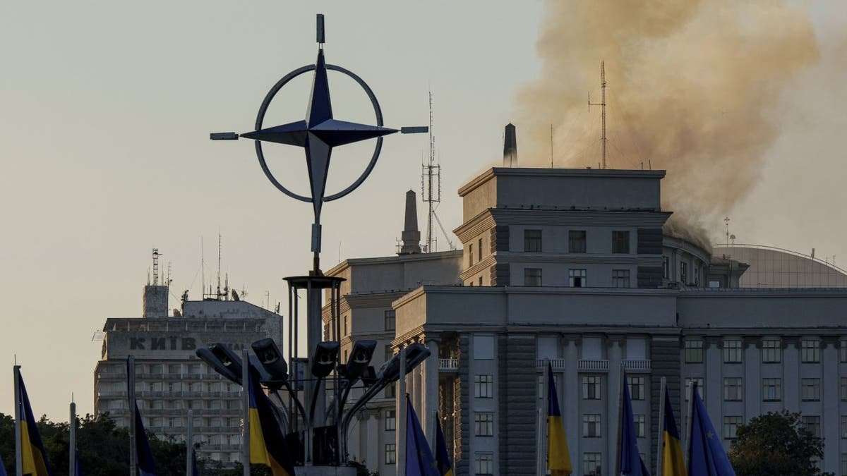 Ukraine drone attack