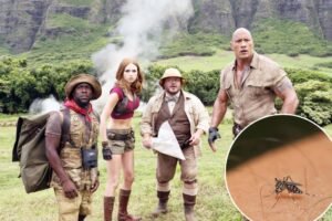 Honeymooner shows off her ‘insane reaction’ to bug bites — leaving people asking if she vacationed in Jumanji