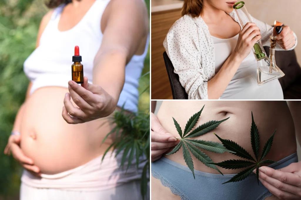 Why cannabis use is rising among pregnant women — despite serious fetal risks Why cannabis use is rising among pregnant women — despite serious fetal risks