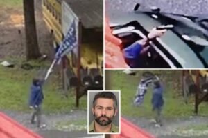 Diminutive accountant tears down local’s Trump sign, shoots up his house: cops