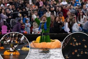 Humongous pumpkin ‘boat’ race features costumes, captains and a world record-breaking sailor