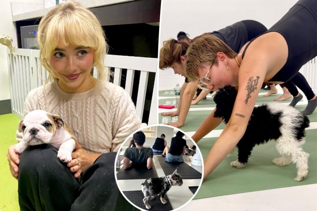 ‘Puppy therapy’ is the workout trend with extra feel-good benefits — even Sabrina Carpenter is a fan