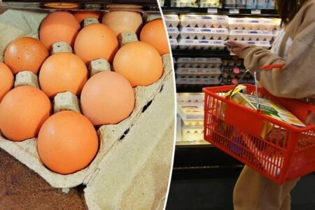 Mass egg recall over salmonella concerns expands, FDA says
