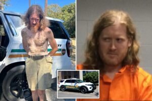 Neighbor accused of shooting woman because her horse was getting ‘too fat’