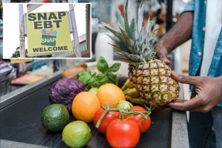 USDA announces no federal SNAP benefits will be delivered over government shutdown, blames Democrats USDA announces no federal SNAP benefits will be delivered over government shutdown, blames Democrats