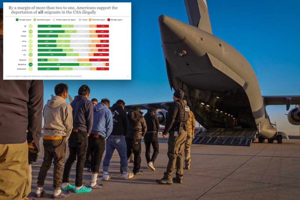 Exclusive | Even Democrats support Trump’s deportation of criminal immigrants: poll