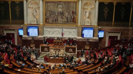 Did teenagers wreak havoc in France’s National Assembly?
