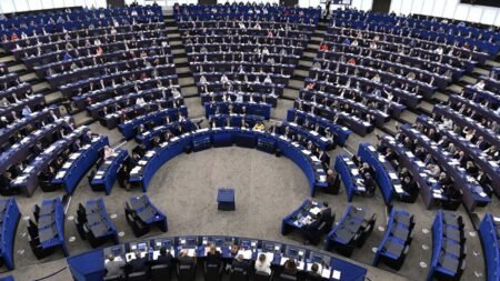 European socialists expel Slovakian PM’s party for values breach